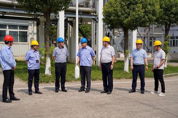 211655811082413980.jpeg 蒲2.jpg